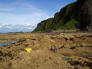 Grassy Cliffs