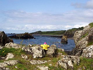 Rocky foreshore