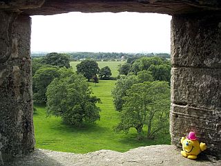 Sat in a window