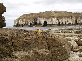 Thornwick Bay