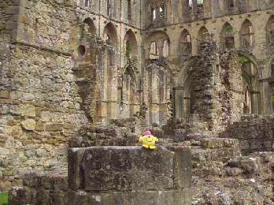 Mr M inside the ruined Rievaulx Abbey