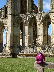 Rievaulx Abbey