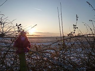 Snow covered fields