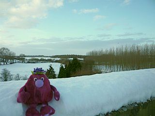 Snow covered valley