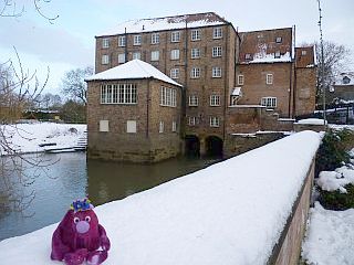 The Old Corn Mill