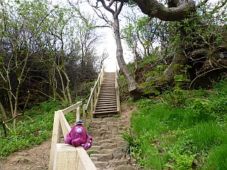 Path Over the Tunnel