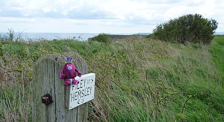 Sign Post