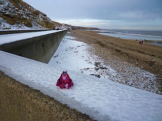 Snow Covered Prom