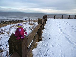 Snowy Cliff Top