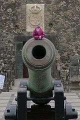 Sat on cannon