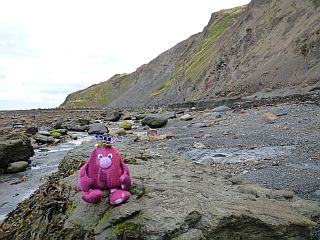 Ravenscar Beach