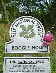 Boggle Hole Sign