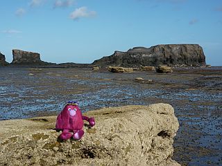 The Whale Saltwick Bay