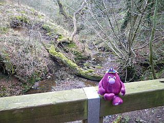 Bridge across beck