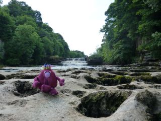 Aysgarth Falls