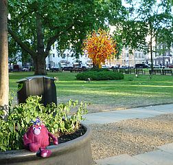 Berkeley Square