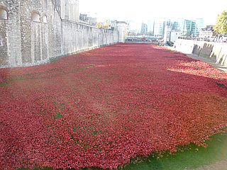 Poppies, Tower of London