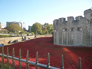 Poppies, Tower of London