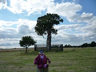 Royal Oak, Boscobel House