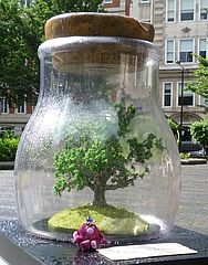 Dream Jar