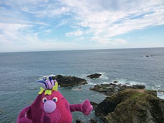 Lizard Point