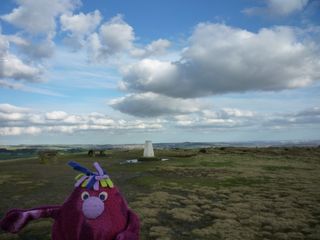 Baildon Moor