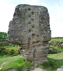 Climbing Rock