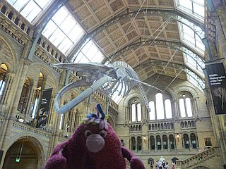 Natural History Museum