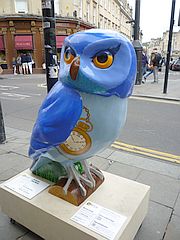 Owl