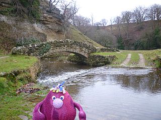 Bridge over stream