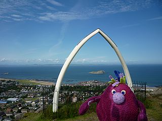 Whale Bone Arch