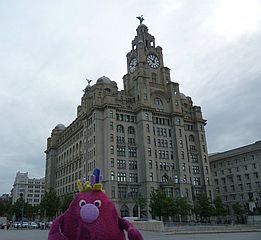 Liver Building