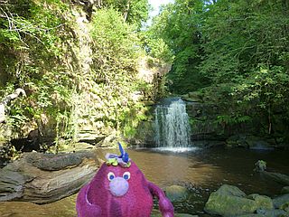 Waterfall and Pool