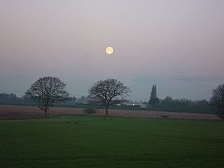 Moon over Trees