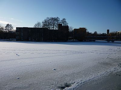 University Lake