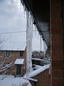 Icicles